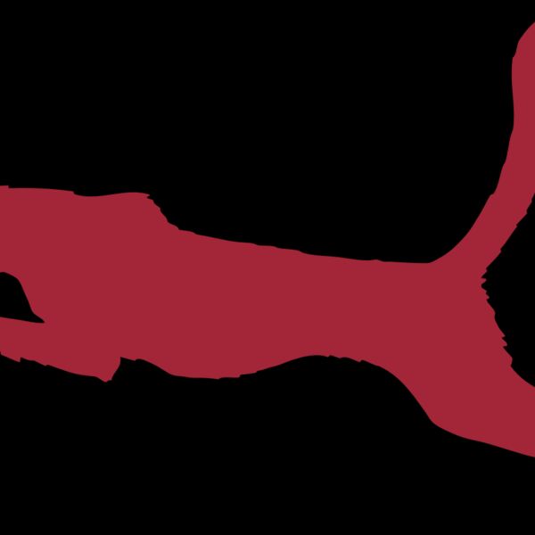 AR CHEETAH 11 RC Thumbnail