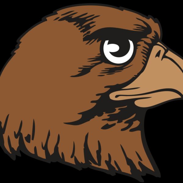 BAW HWK FLCN 05 RC Thumbnail