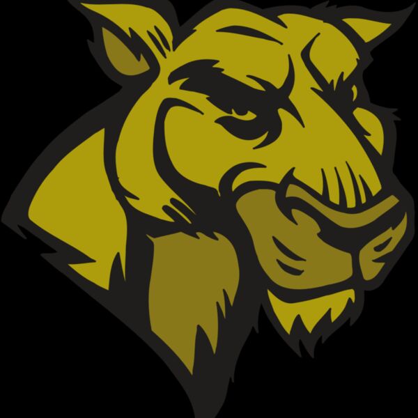 AR5 COUGAR 18 RQC Thumbnail