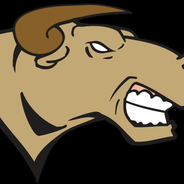 AR BULL 30 RC Thumbnail