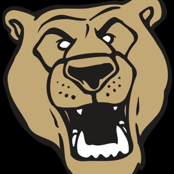 AR BEAR 13 RC Thumbnail