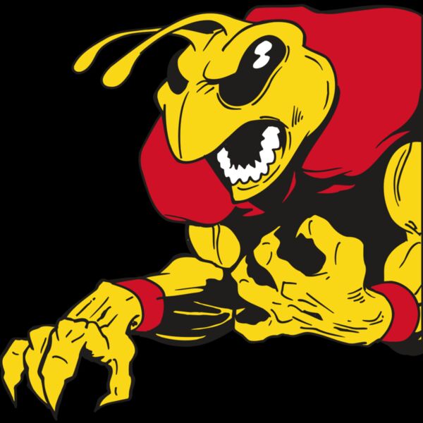 AR5 BEE 28 RQC Thumbnail