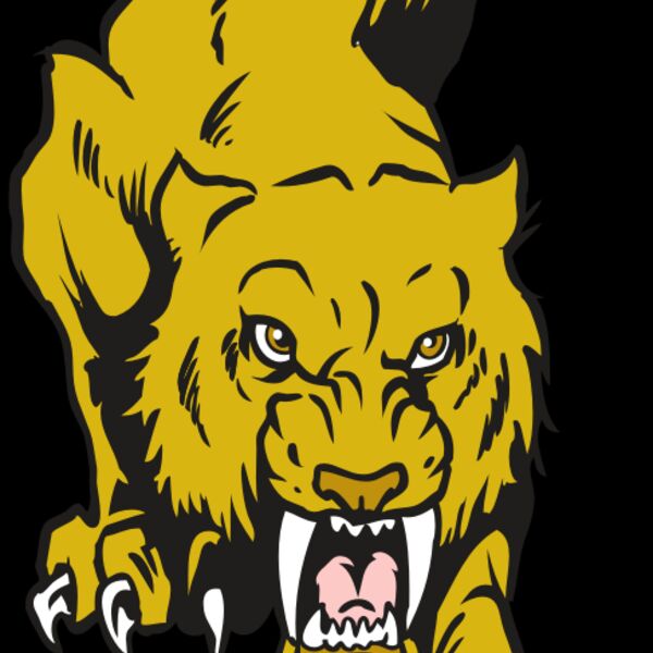 AR30 SABER 08 RQC Thumbnail