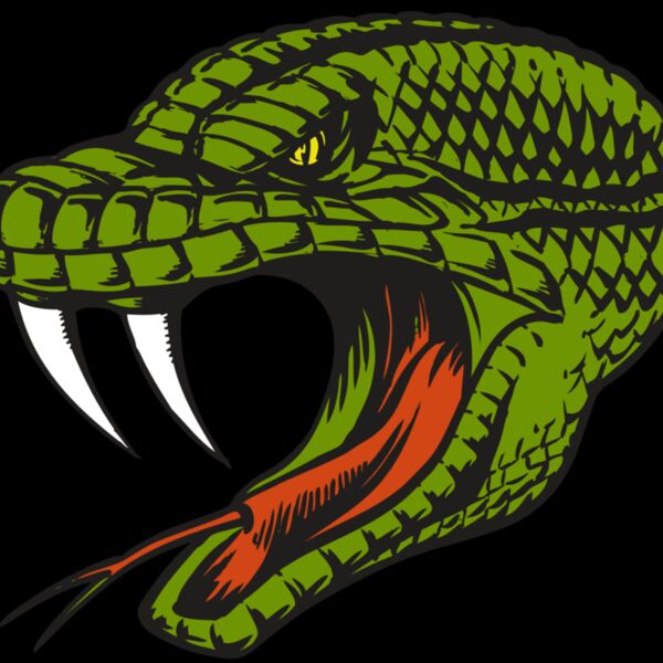 BAW SNAKE 14 RC Thumbnail