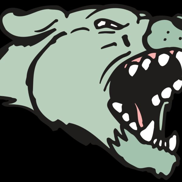 AR5 COUGAR 33 RQC Thumbnail